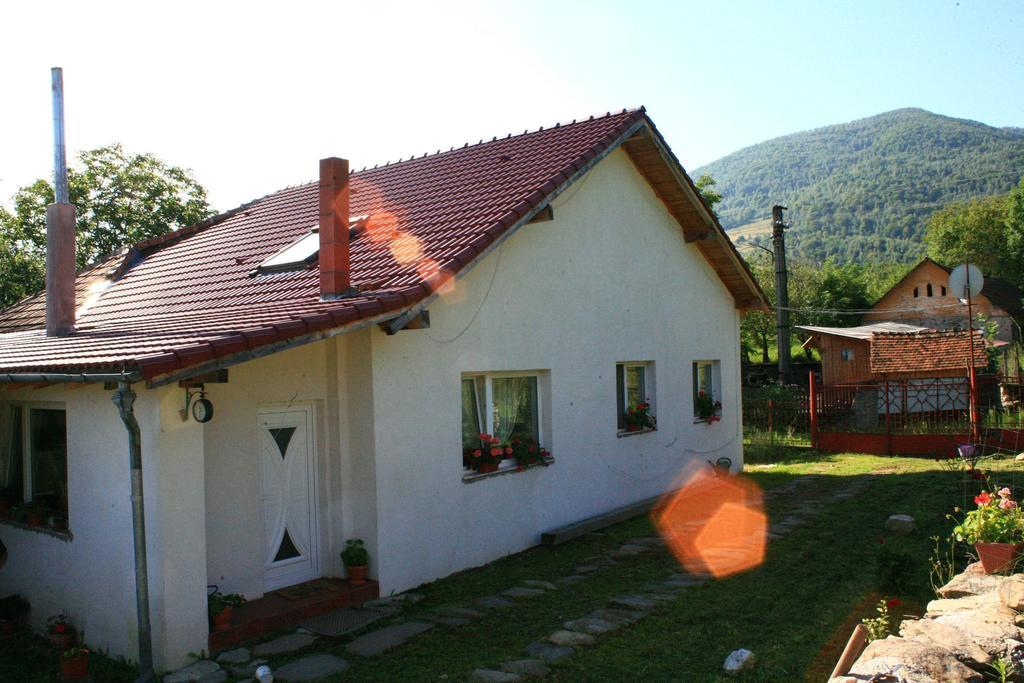 Cuibul Salamandrelor Hotel Sarmizegetusa Exterior foto